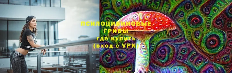 где купить наркотик  hydra зеркало  Галлюциногенные грибы MAGIC MUSHROOMS  Абаза 