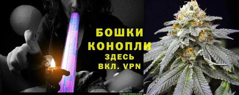 где купить наркотик  OMG как войти  Шишки марихуана Amnesia  Абаза 